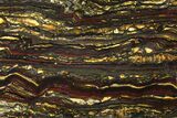 Polished Tiger Iron Slab - ( Billion Years Old) #95906-1